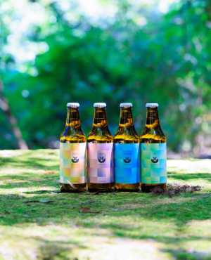 🌿🍺クラフトビールたちを連れて、 渓谷へ写真撮影に行ってきました。   木漏れ日と清らかな空気。 耳を澄ませば、水の音が聞こえて…