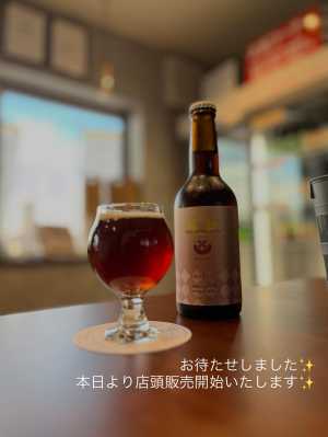 こんにちは♪キラリブルワリーです✨ ✳︎ 和栗浪漫エール、本日より店頭販売開始いたします✨🌰 この季節、山鹿市内では栗を使った商…